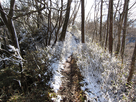 20191129hike (487)